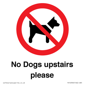 No Dogs upstairs please 